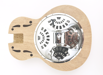 Resonator Style Build Your Own Guitar Kit