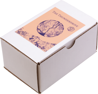 The Thunderdrive Mod® Electronics DIY Effect Pedal Kit